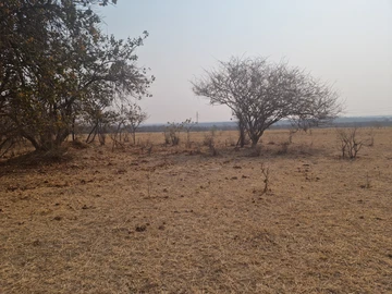 Farm & Agricultural Land