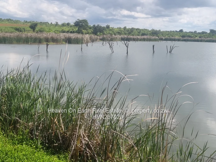 Attention Farmers!! Farm Now Reduced To Sale