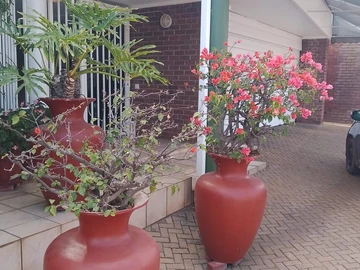 3 Bedroom Flat & Apartment