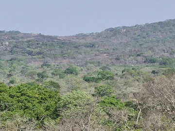 Farm & Agricultural Land