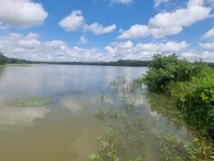 Farm & Agricultural Land