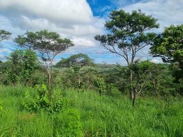 Farm & Agricultural Land