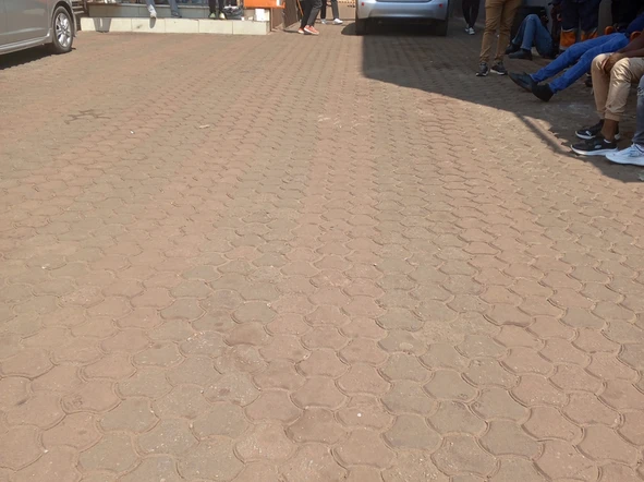 Shop & Retail Property