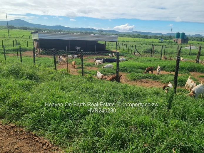 Farm For Sale In Masvingo