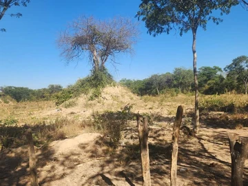 Farm & Agricultural Land