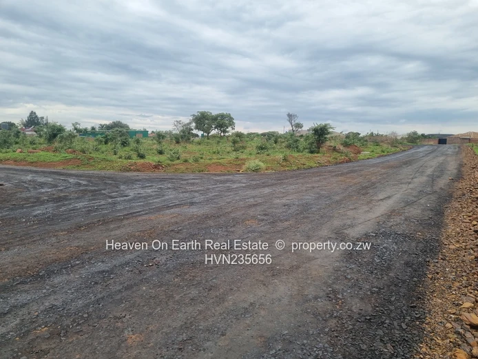 Beautiful stands for sale 