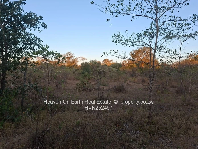 Beautiful plot for sale with a plunge dip