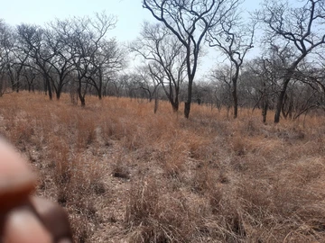 Farm & Agricultural Land