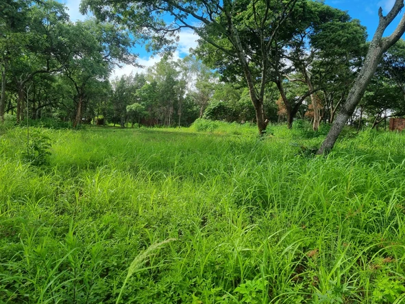 Farm & Agricultural Land