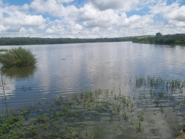 Farm & Agricultural Land