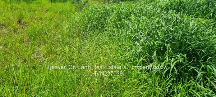 A Rare Opportunity To Own A Stand