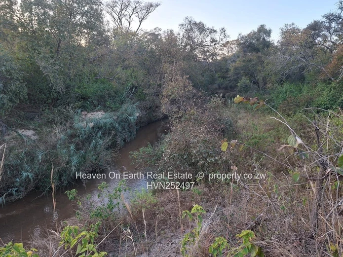 Beautiful plot for sale with a plunge dip