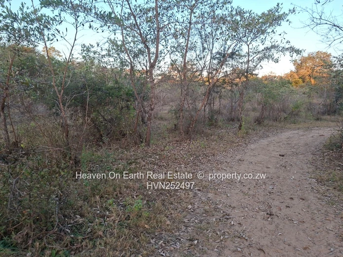 Beautiful plot for sale with a plunge dip