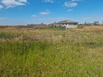 Stands & Residential Land