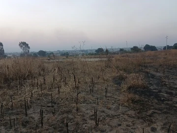 Commercial & Industrial Land