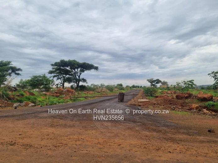 Beautiful stands for sale 