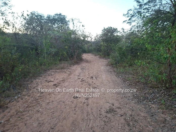 Beautiful plot for sale with a plunge dip