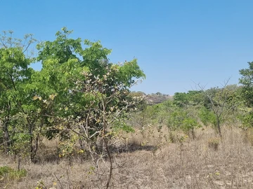 Farm & Agricultural Land