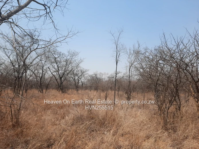 Plots For Sale