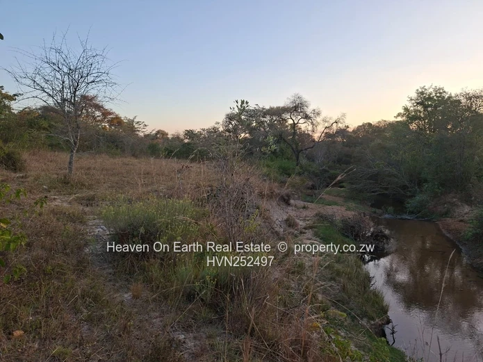 Beautiful plot for sale with a plunge dip
