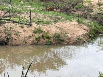 Farm & Agricultural Land