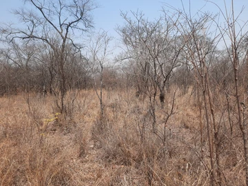 Farm & Agricultural Land