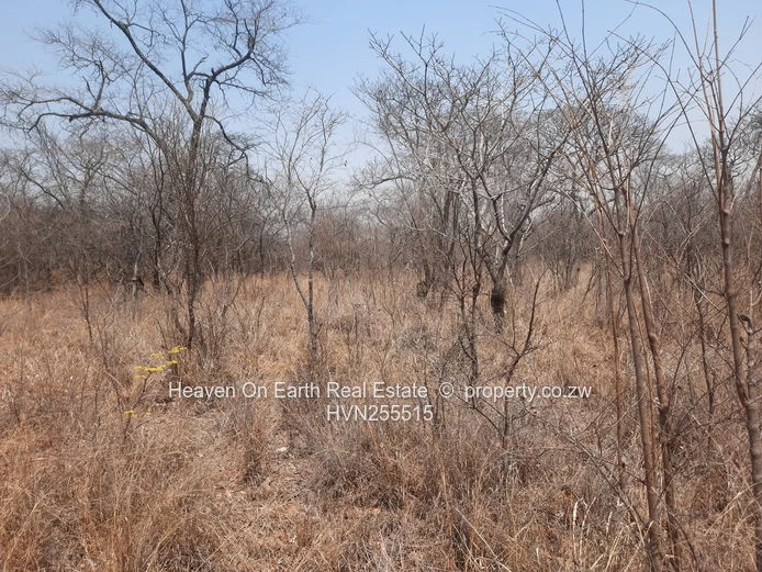 Plots For Sale