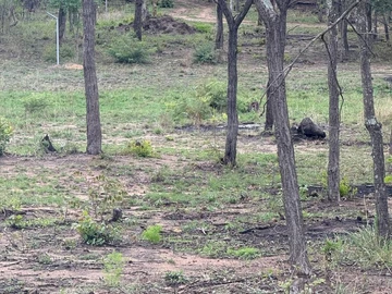 Farm & Agricultural Land