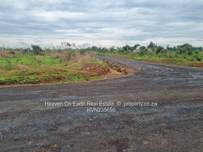 Beautiful stands for sale 