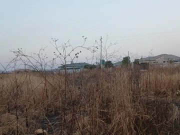Commercial & Industrial Land
